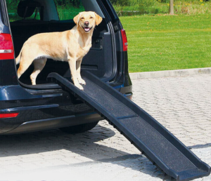 Travel Pet Ramp "EasyStride™"